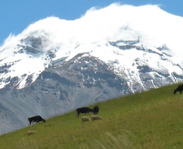 Chimborazo volcano, Ecuadorian highlands. Photo by Emilie Dupuits