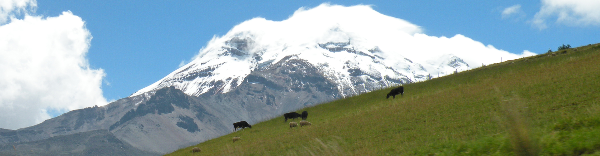 Chimborazo volcano, Ecuadorian highlands. Photo by Emilie Dupuits