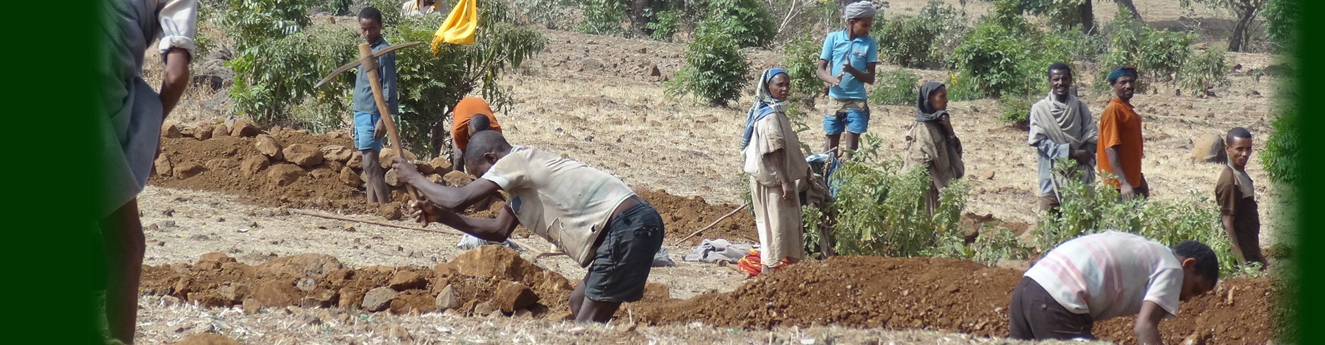 A collective effort to counter soil erosion and enhance soil fertility on sloping farmland in the Ethiopian Highlands. Photo by Hans Hurni