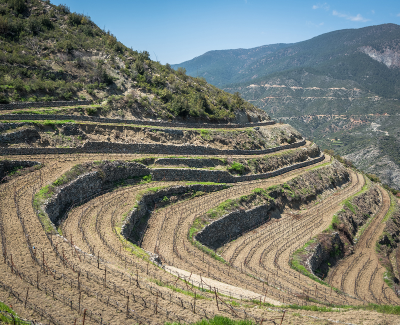 Mountain wineries share a common desire for sustaining and enhancing the quality of the wine produced to support their long-term success: vineyards on drystone terraces in the Troodos Mountains, Cyprus. © Christos Zoumides