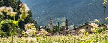 A large share of agricultural land in Valposchiavo is organically cultivated. © Valposchiavo Turismo