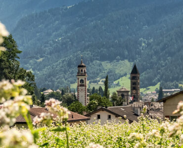 A large share of agricultural land in Valposchiavo is organically cultivated. © Valposchiavo Turismo